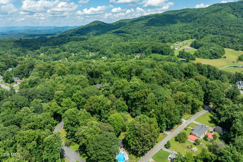 Photo #55: 1903 Triangle Road
