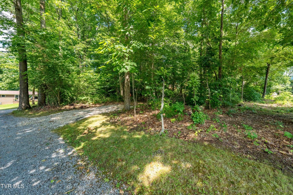 Photo #64: 1903 Triangle Road