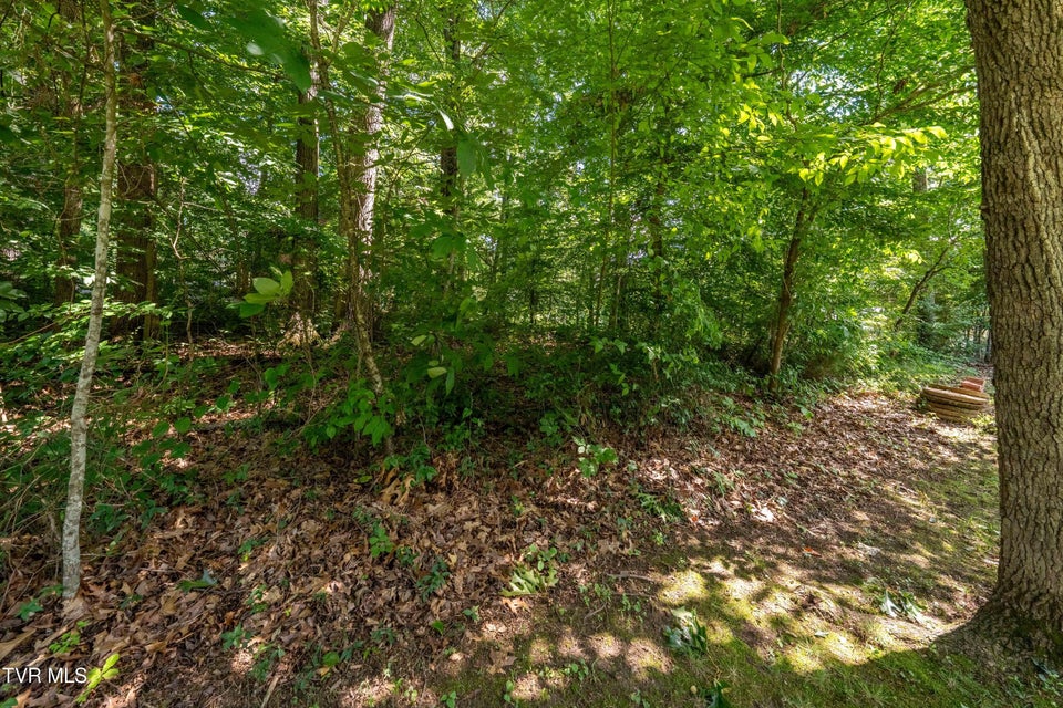 Photo #73: 1903 Triangle Road