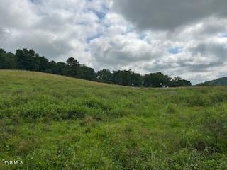 Photo #7: 0 0 Trent Valley