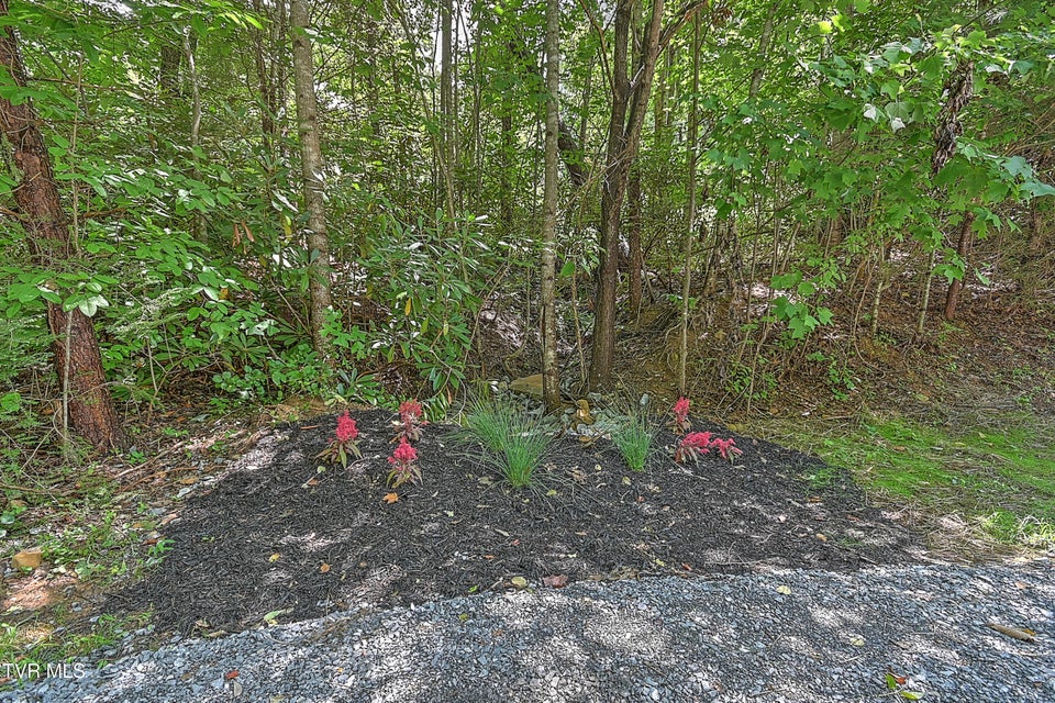 Photo #46: 132 Dogwood Lane