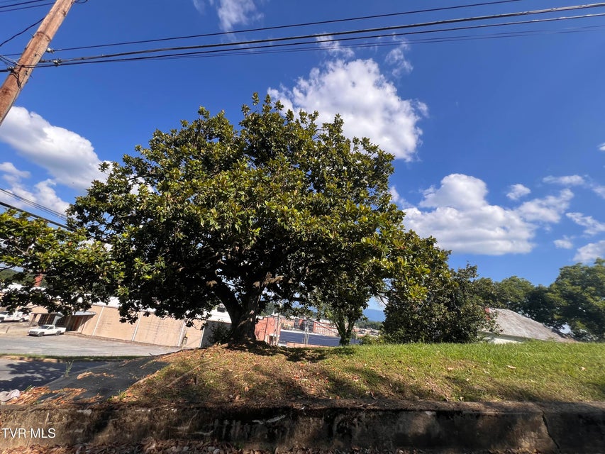 Photo #46: 124 Highland Avenue