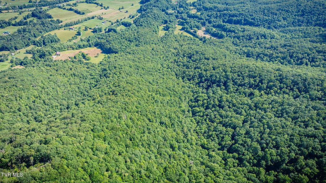 Photo #61: 284 Bulldog Hollow