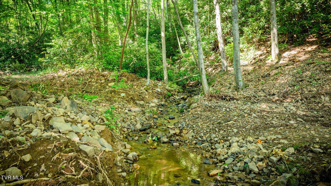 Photo #72: 284 Bulldog Hollow