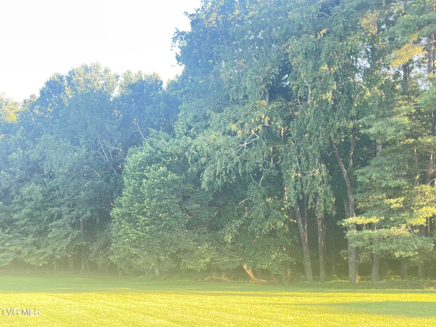 Photo #2: Tbd Off Warrior/Country Acres Lane