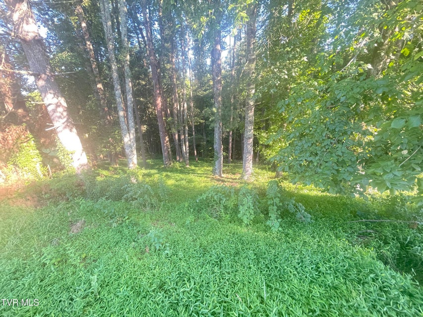 Photo #5: Tbd Off Warrior/Country Acres Lane