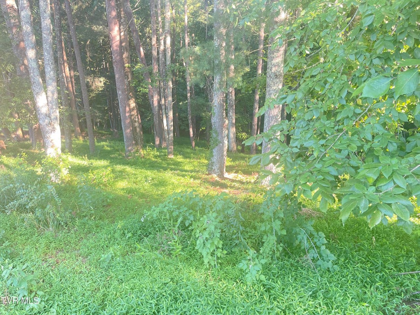 Photo #6: Tbd Off Warrior/Country Acres Lane
