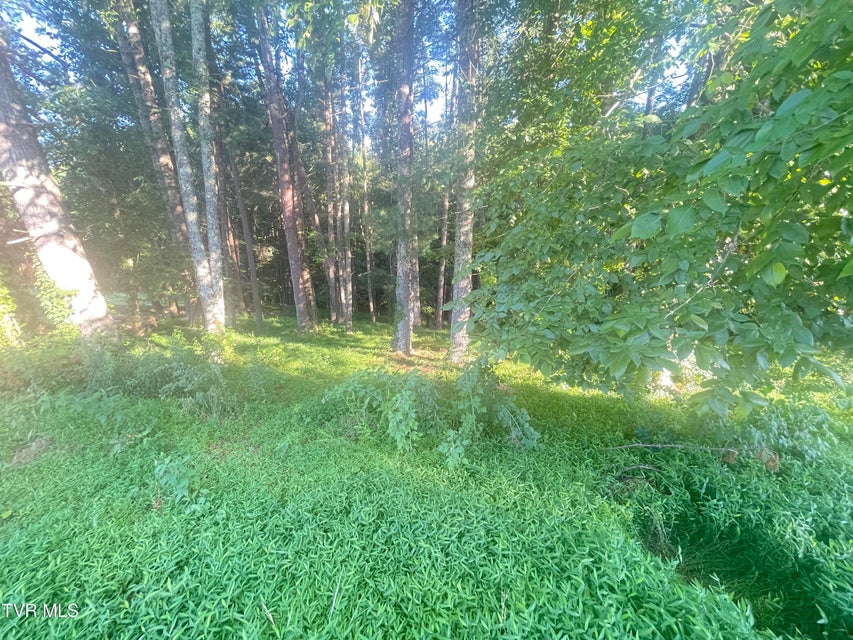 Photo #7: Tbd Off Warrior/Country Acres Lane