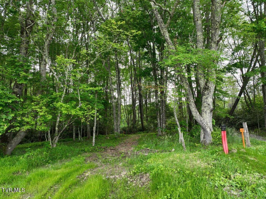 Photo #4: 1762 Ripshin Mountain Road
