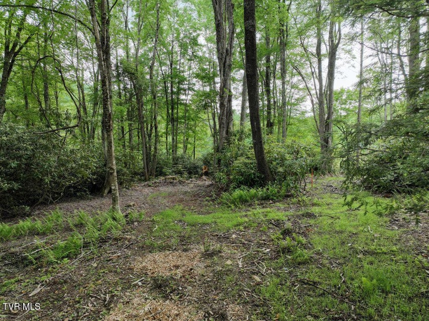 Photo #7: 1762 Ripshin Mountain Road