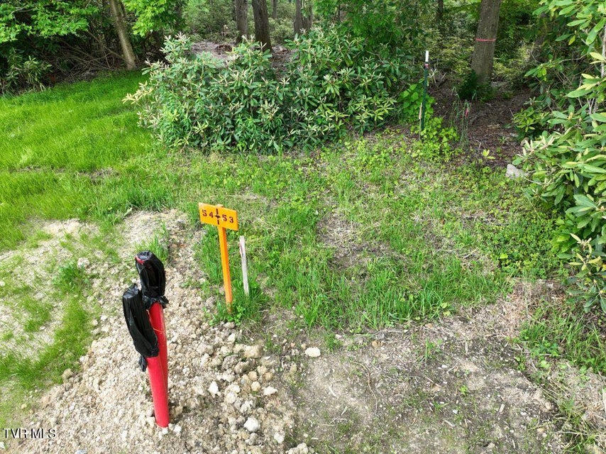 Photo #2: 1768 Ripshin Mountain Road