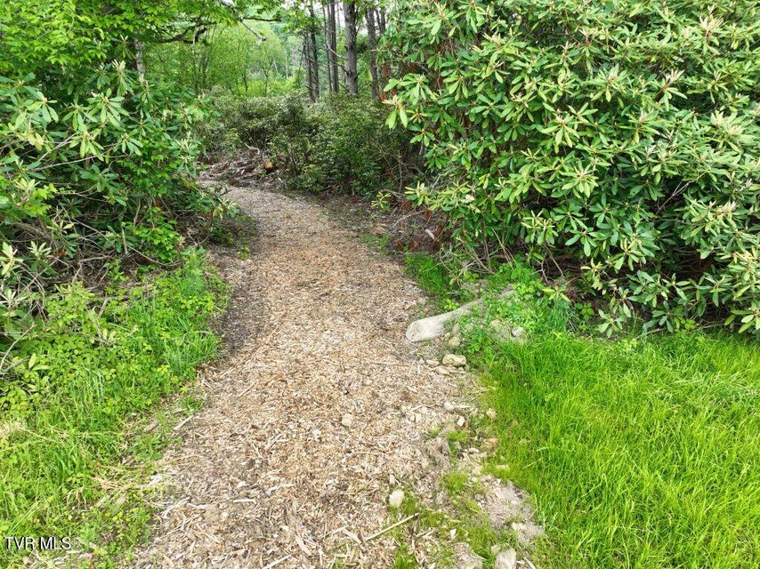 Photo #4: 1768 Ripshin Mountain Road