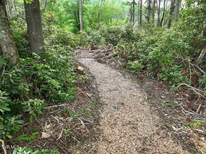 Photo #5: 1768 Ripshin Mountain Road