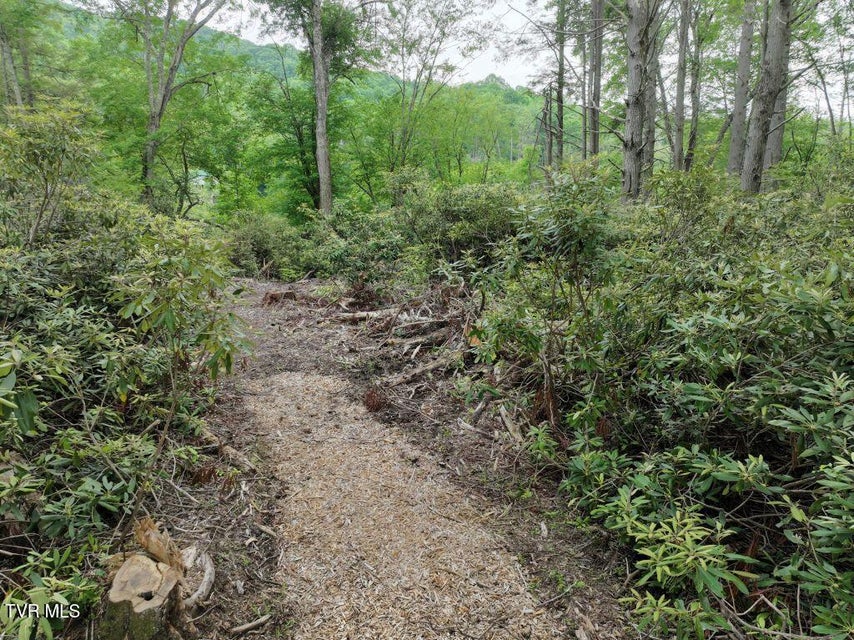 Photo #6: 1768 Ripshin Mountain Road