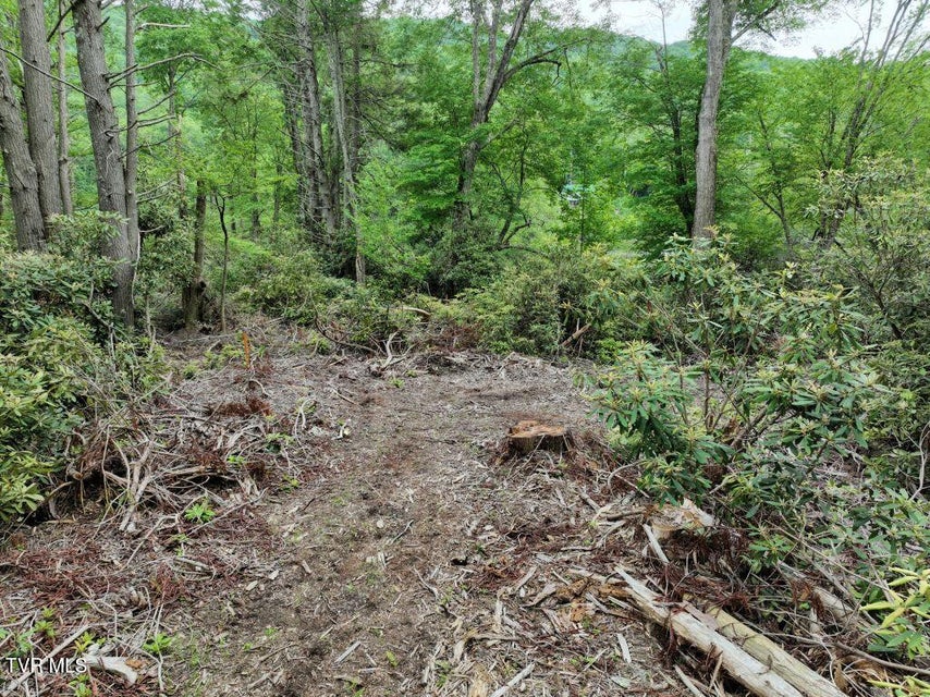 Photo #7: 1768 Ripshin Mountain Road