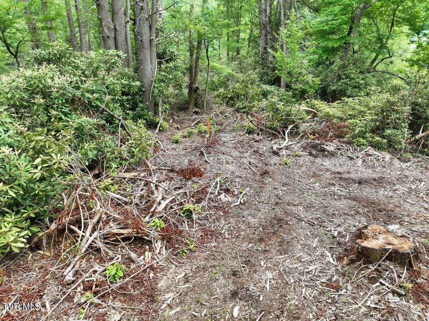 Photo #9: 1768 Ripshin Mountain Road