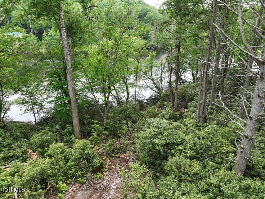 Photo #11: 1768 Ripshin Mountain Road