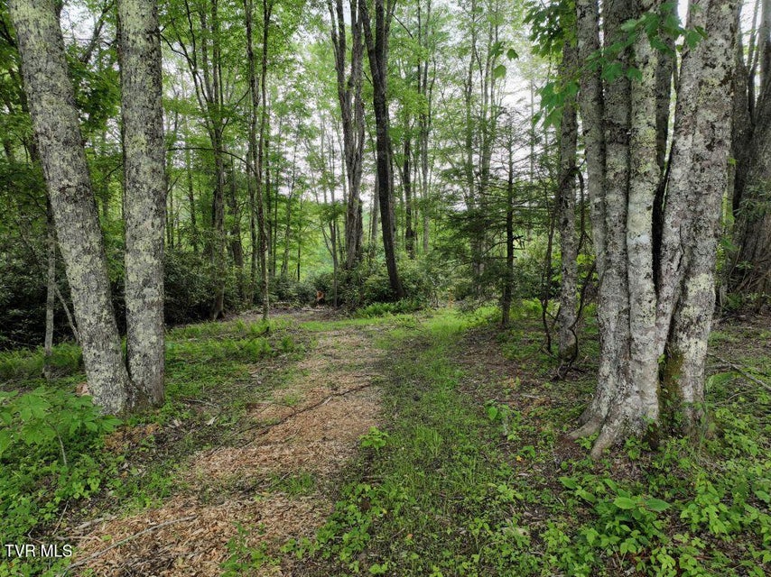 Photo #15: 1768 Ripshin Mountain Road
