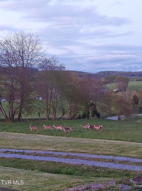 Photo #38: 28360 Rivermont Drive