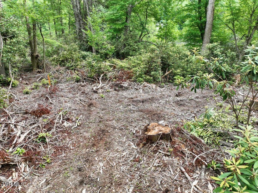 Photo #10: 1776 Ripshin Mountain Road