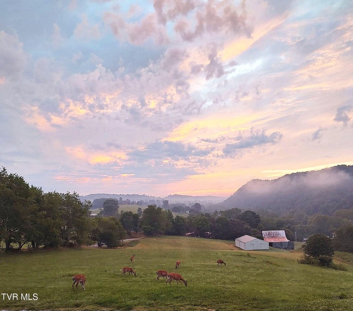 Photo #37: 28360 Rivermont Drive