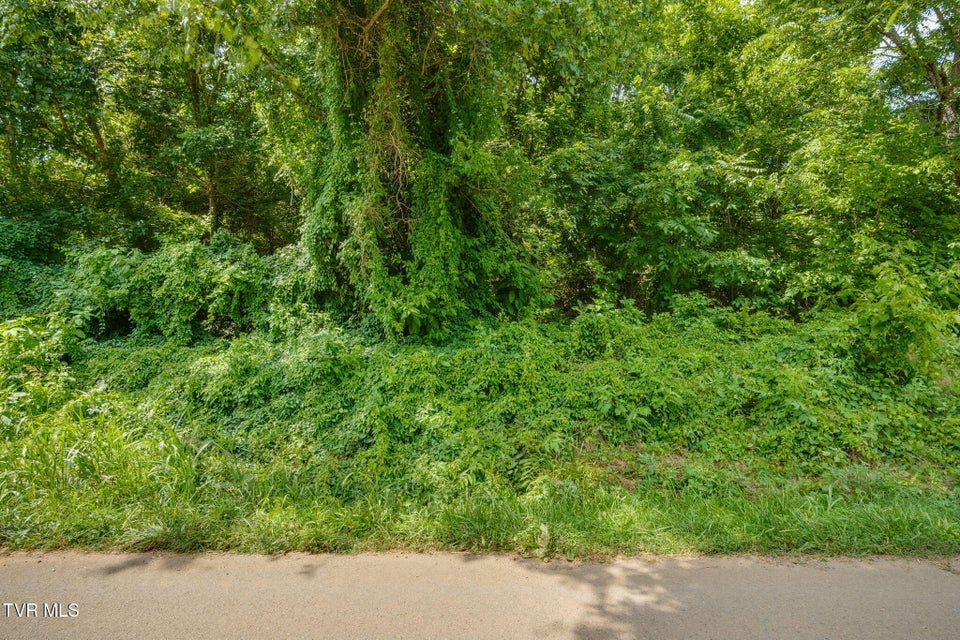 Photo #18: Lots 15-16 Babbs Mill Road