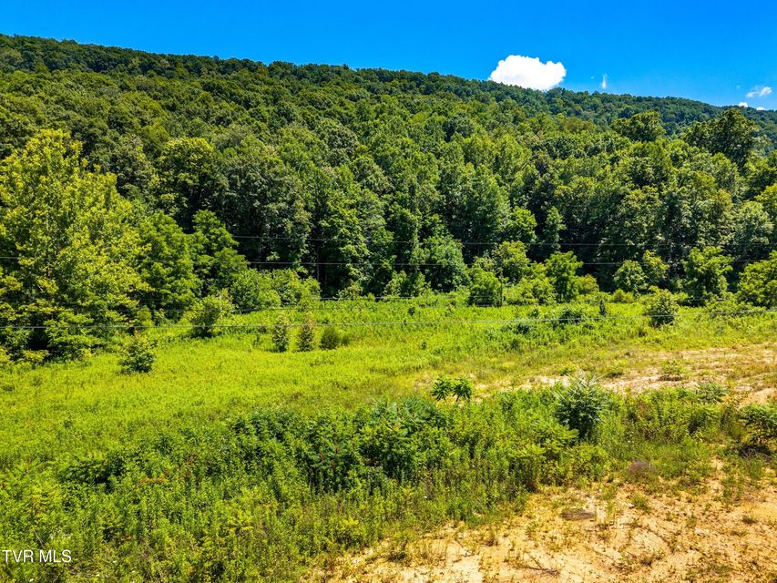 Photo #20: 443 Butcher Valley Road