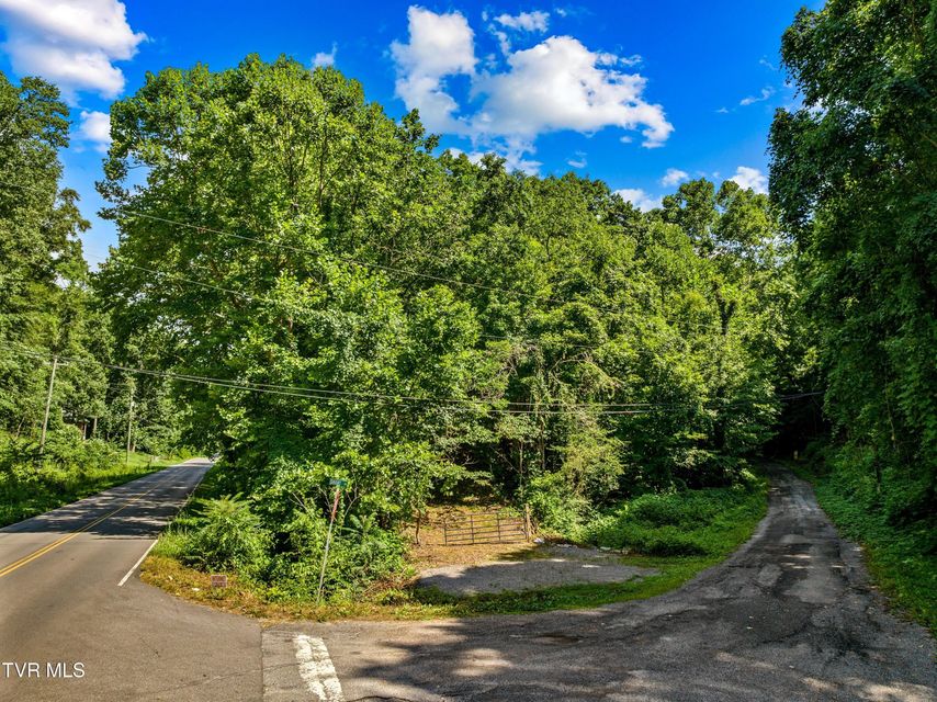 Photo #2: 00 Shortt 10.25 Acres Road