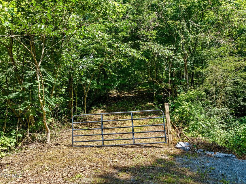 Photo #3: 00 Shortt 10.25 Acres Road