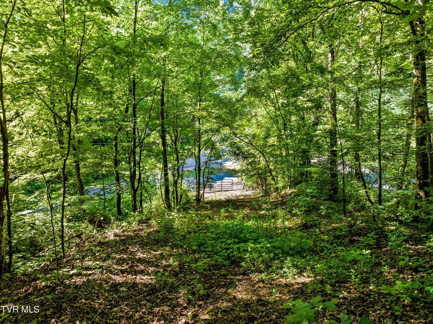 Photo #5: 00 Shortt 10.25 Acres Road