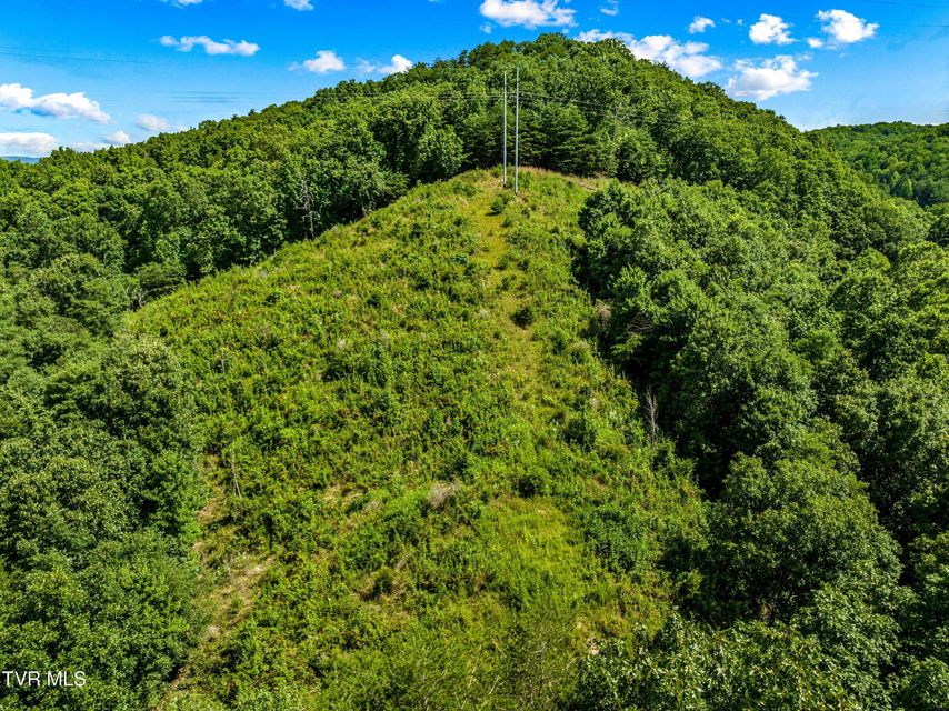 Photo #16: 00 Shortt 10.25 Acres Road