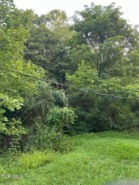 Photo #38: 2703 Orr Street