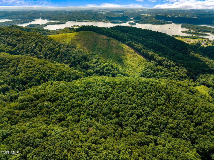 Photo #2: 000 Shortt 8.76 Acres Road