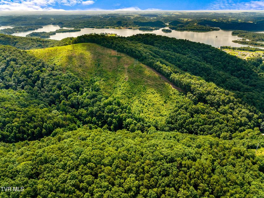 Photo #3: 000 Shortt 8.76 Acres Road