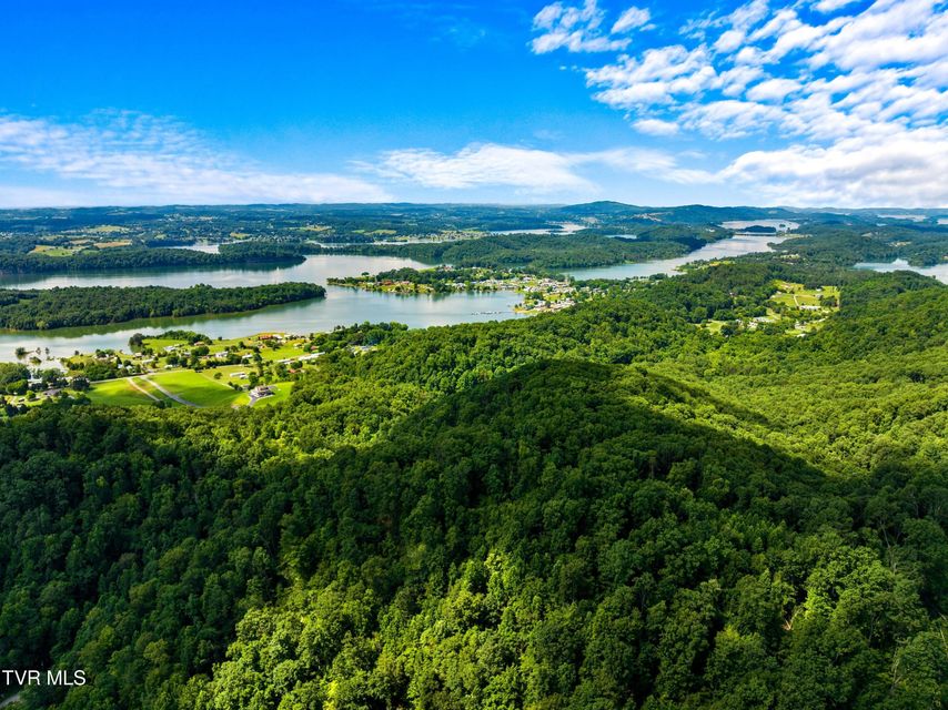 Photo #4: 000 Shortt 8.76 Acres Road