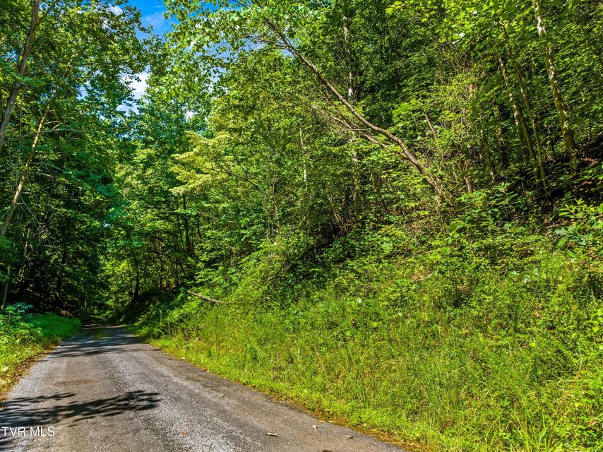 Photo #5: 000 Shortt 8.76 Acres Road