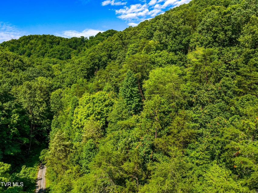 Photo #6: 000 Shortt 8.76 Acres Road