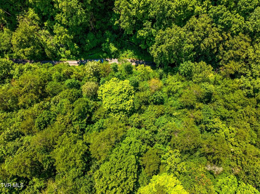Photo #7: 000 Shortt 8.76 Acres Road