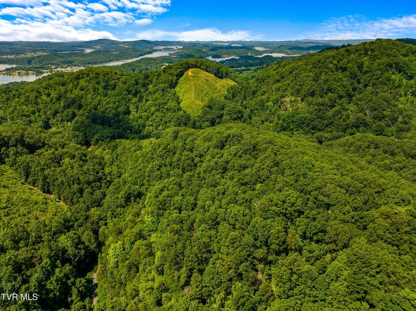 Photo #8: 000 Shortt 8.76 Acres Road