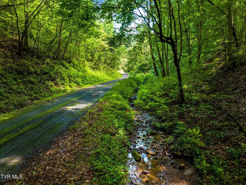 Photo #10: 000 Shortt 8.76 Acres Road