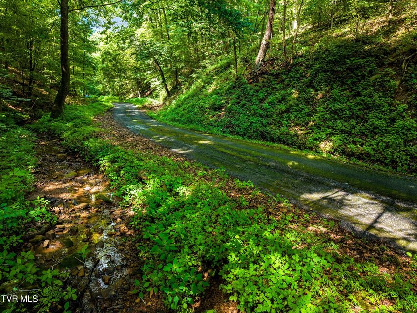Photo #11: 000 Shortt 8.76 Acres Road