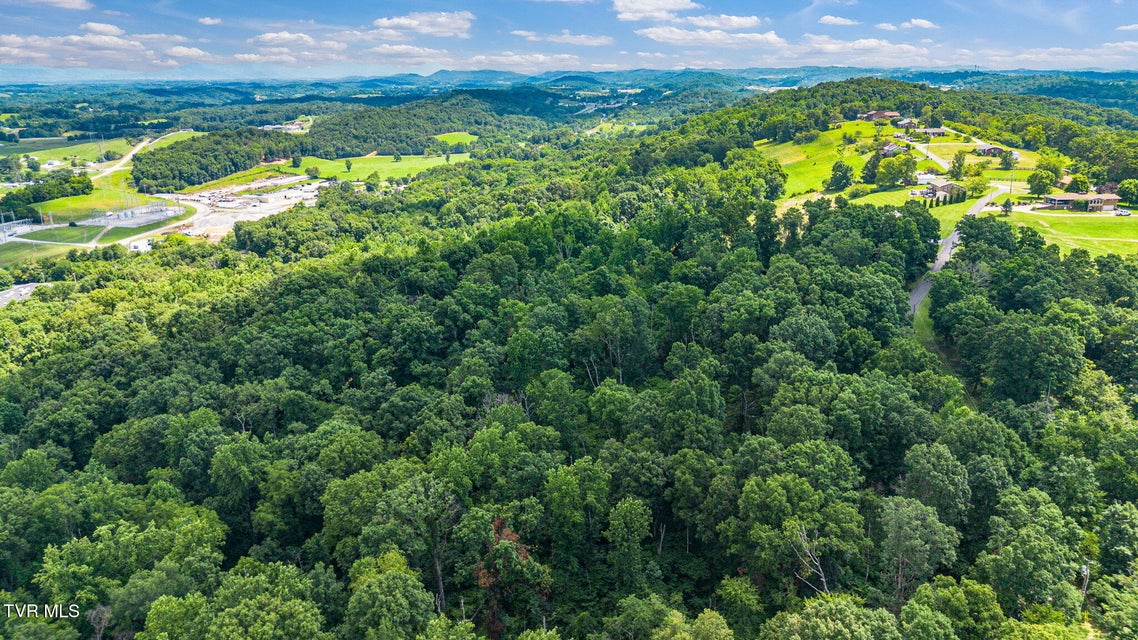 Photo #44: 218 Panoramic View Drive