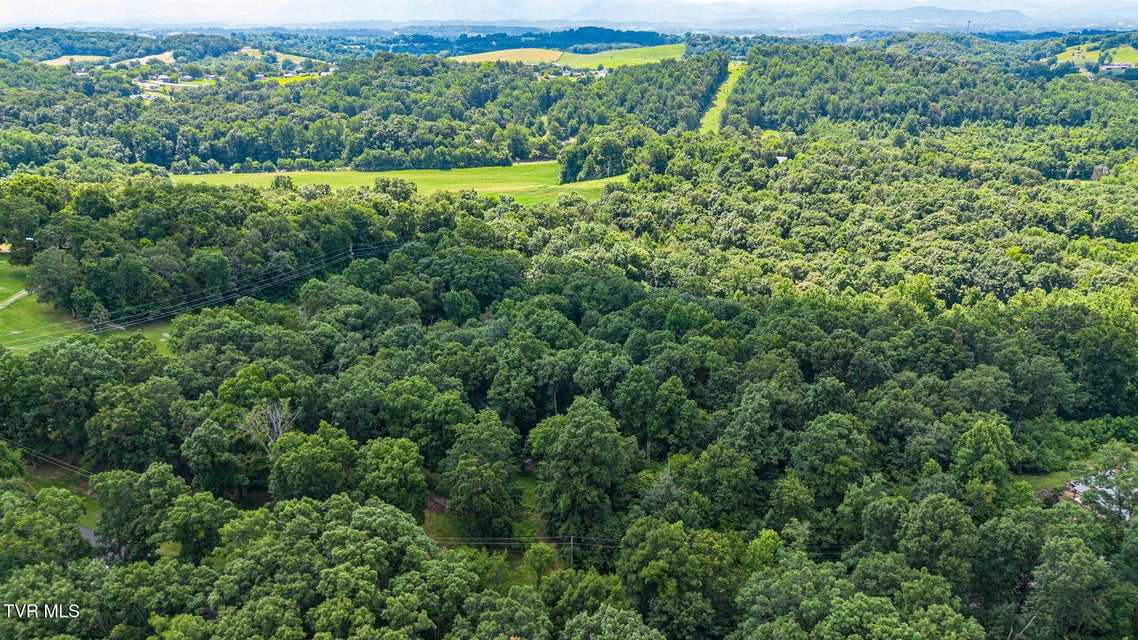 Photo #45: 218 Panoramic View Drive