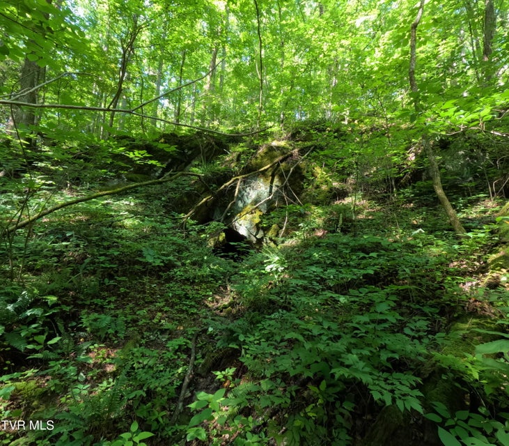 Photo #2: 1 Off Broyles Road