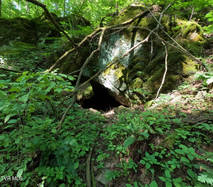 Photo #3: 1 Off Broyles Road