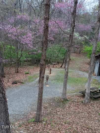 Photo #51: 218 Panoramic View Drive