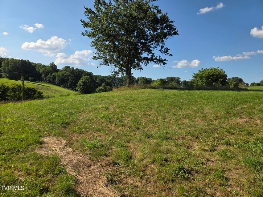 Photo #12: 1120 Old Boones Creek Road