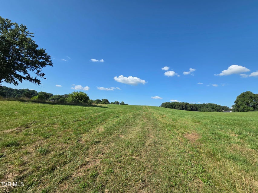 Photo #13: 1120 Old Boones Creek Road