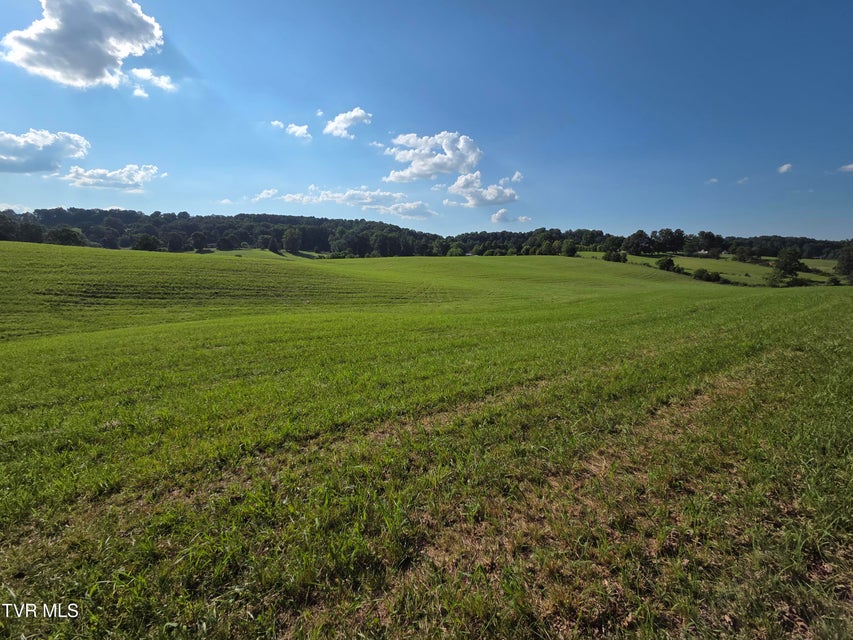 Photo #16: 1120 Old Boones Creek Road