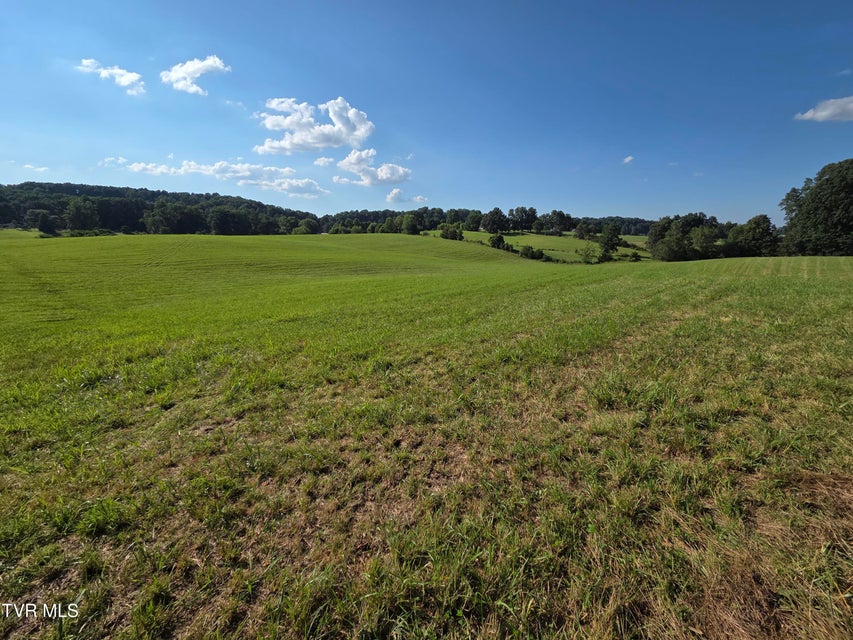 Photo #17: 1120 Old Boones Creek Road
